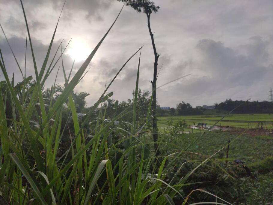 Kamanabillu Homestay, For Jog Falls Travellers Siddapur Exterior photo