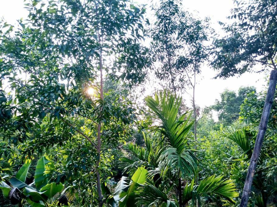 Kamanabillu Homestay, For Jog Falls Travellers Siddapur Exterior photo