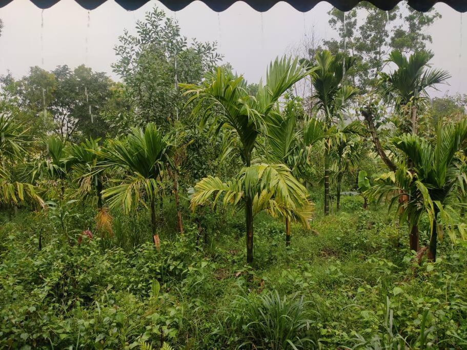 Kamanabillu Homestay, For Jog Falls Travellers Siddapur Exterior photo